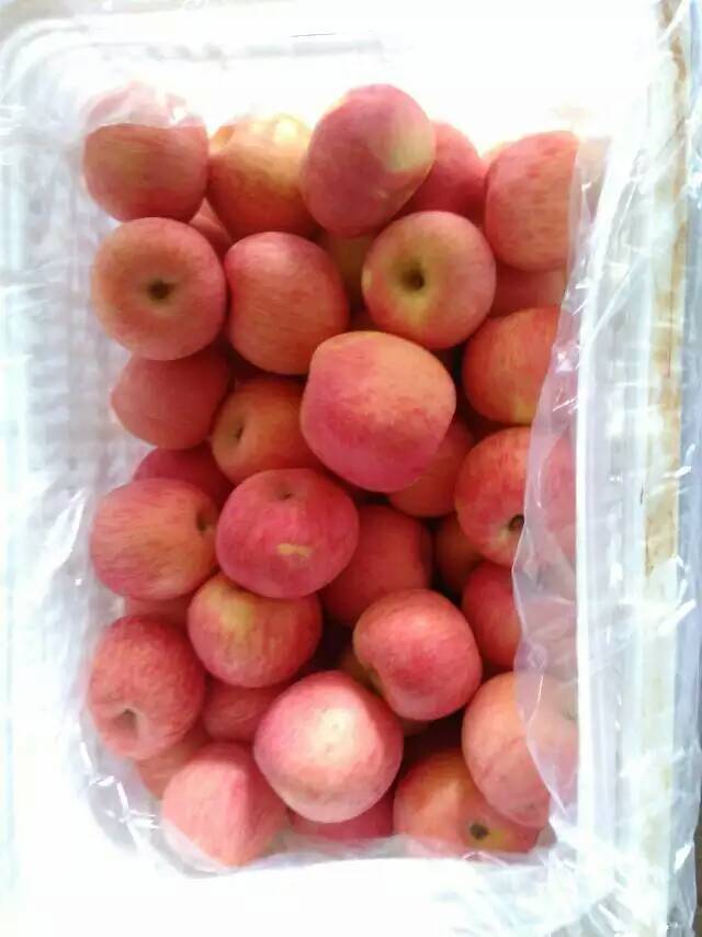山东红富士苹果产地批发价格水晶红富士苹果价格行情