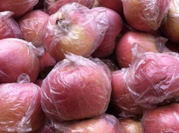 批发红星苹果联系电话今日山东苹果种植产区哪里苹果便宜