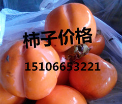 山东临沂沂水县哪里的脆柿子最便宜