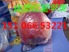 山东哪里是苹果的主要产区中国水果产地分布图中国苹果的产区分布