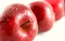 陕西红富士苹果价格 2016年红富士苹果能否库存
