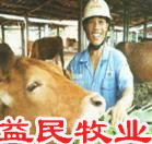 养殖业交流的平台提供畜牧养殖业畜牧养殖业牛羊养殖业农村养殖业养殖