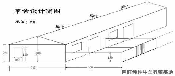 肉牛饲养肉牛行情肉牛饲养