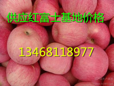 河北红富士苹果红富士苹果产地价格