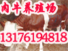肉牛养殖肉牛价格中国肉牛网中国养殖