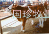 2014年辽宁省肉牛生产形势分析