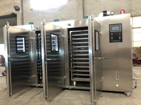 种子烘干灭菌箱种子病毒灭菌处理机200公斤南京金恒专业生产