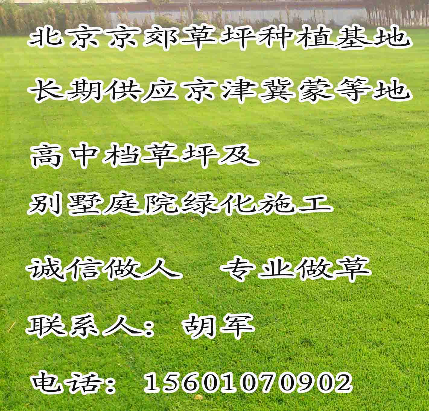 大同绿化草皮厂家 平城区销售草坪价格云冈区卖草皮批发 新荣区公园草皮 云州区小区绿化草皮