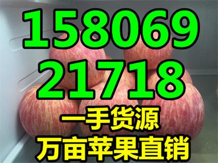 山东苹果最新批发价格山东红富士苹果产地在哪里