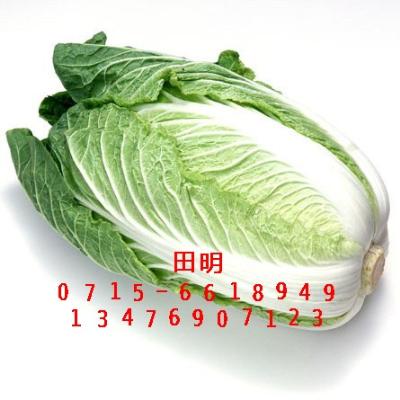 湖北大白菜 甘蓝 冬瓜 南瓜