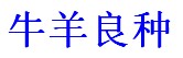 买牛我要买牛哪里有卖的肉牛价格到祥宇牧业