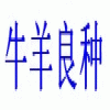 万头牛羊我想要喂牛我买牛我要买牛
