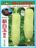 奇山新白玉黄瓜种子